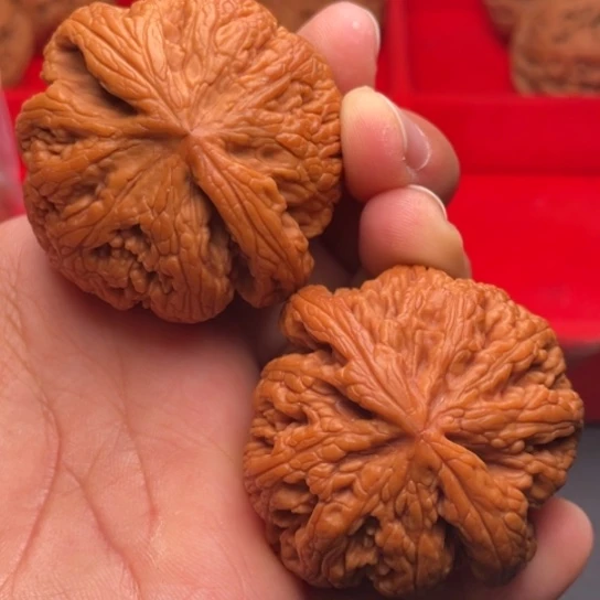 文玩核桃把件秦岭山脉核桃