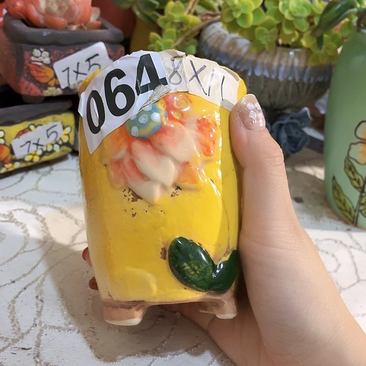 多肉花盆满15包邮