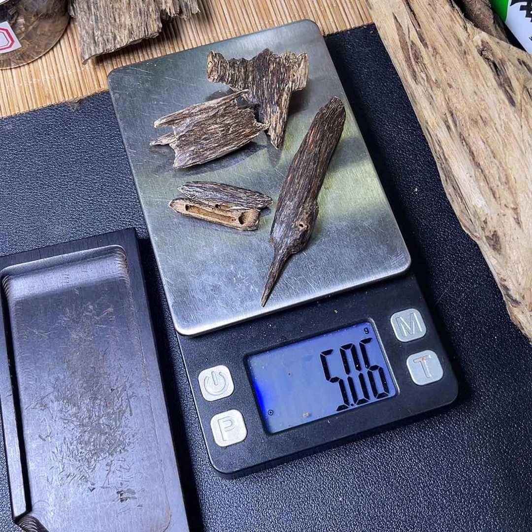 香榧木海南尖峰岭树心油5克