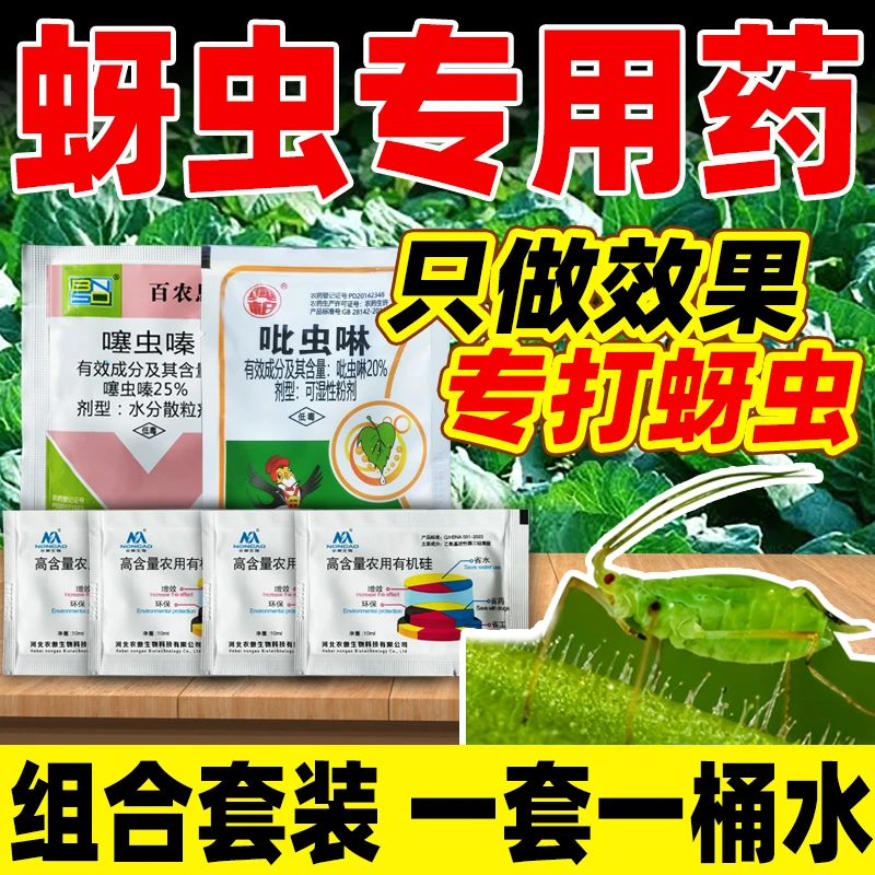 蚜虫专用药蚜虫专杀克星杀虫剂吡虫啉蚜虫噻虫嗪正品抗蚜虫农药