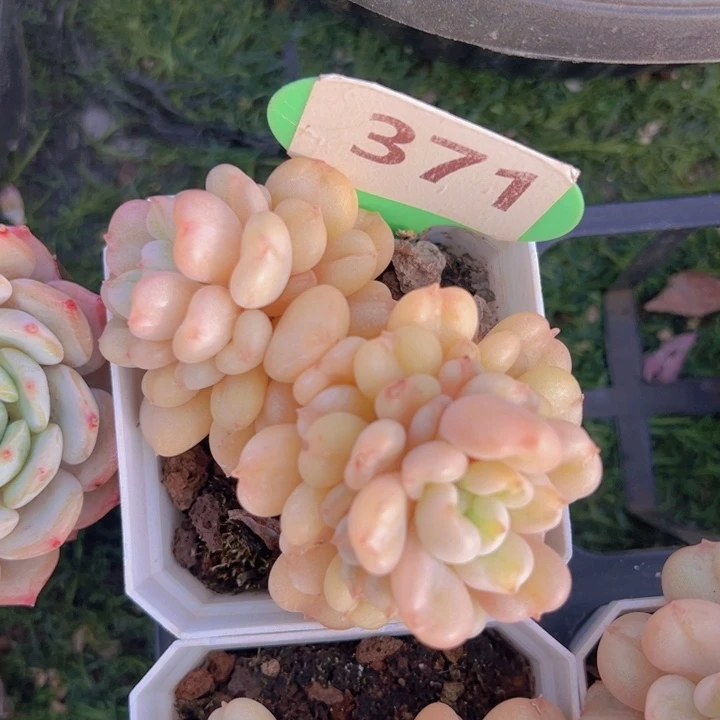 健健康康平平安安