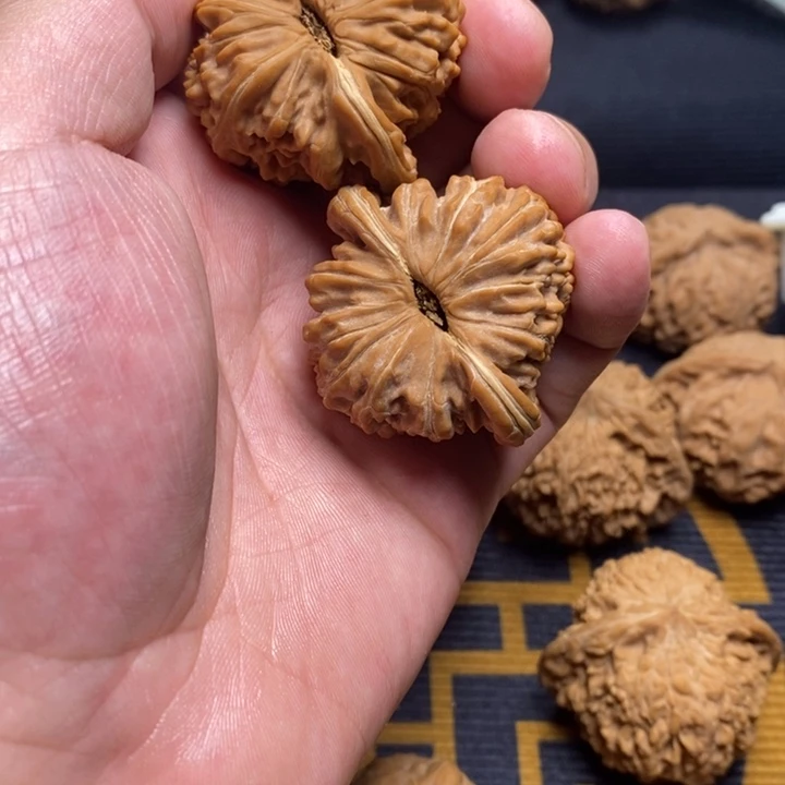 鴻***。大叶紫檀（黑酸枝木类）文玩核桃