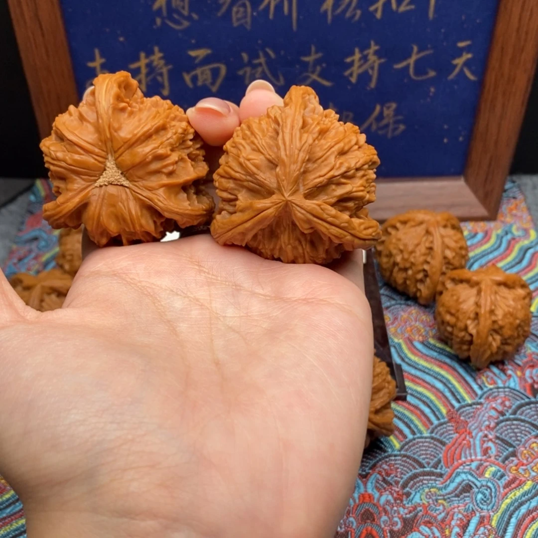 【闪购商品】A***n白狮