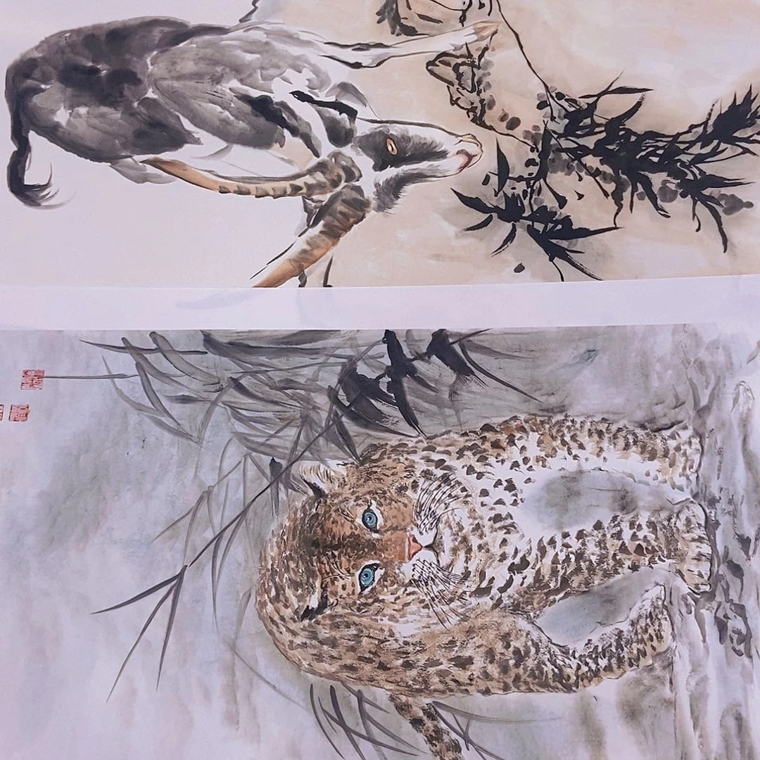 国画我的评分看得
