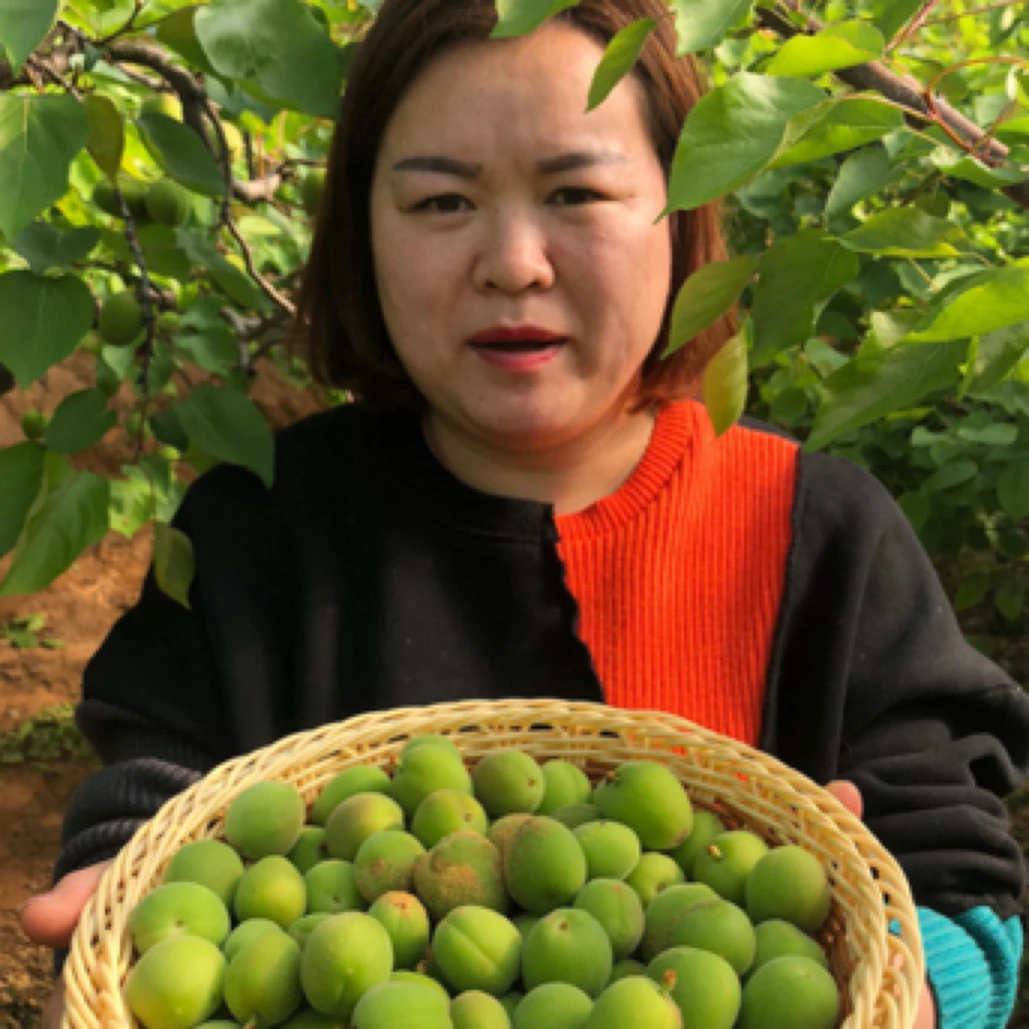 顺丰专拍链接软核小青杏带苦味送辣椒面（不能吃介意勿下单）