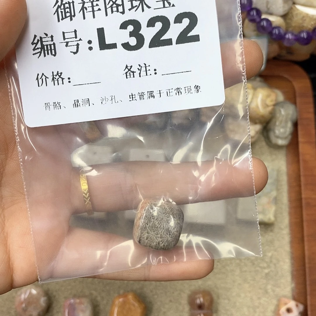 硅化珊瑚（珊瑚玉）n未镶嵌沐*