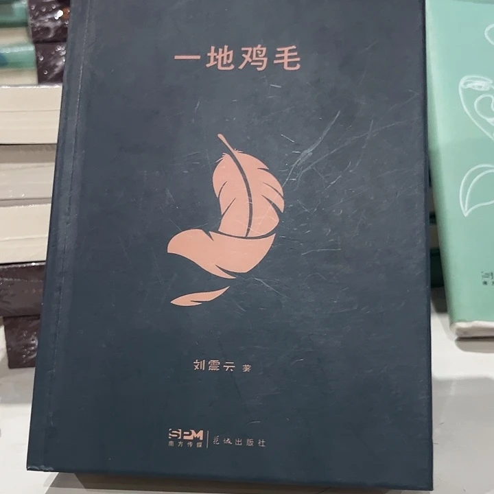 一地鸡毛新书推荐精装