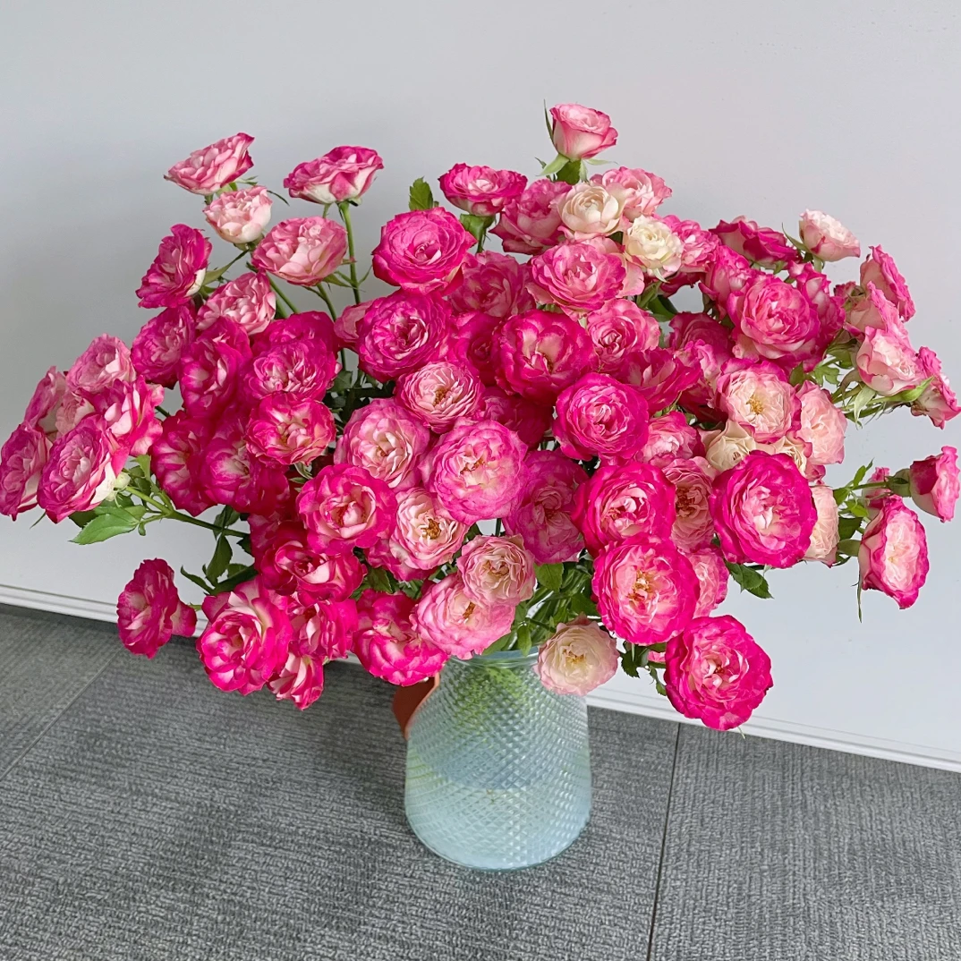 【狮子座玫瑰10支】（10%不售后）