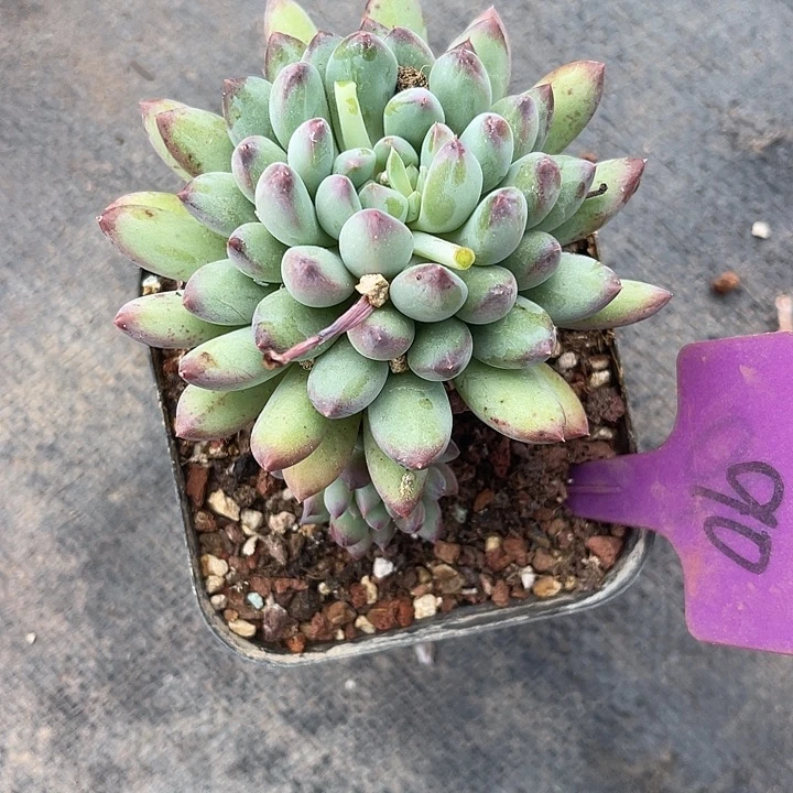 两单包邮，炸福利90