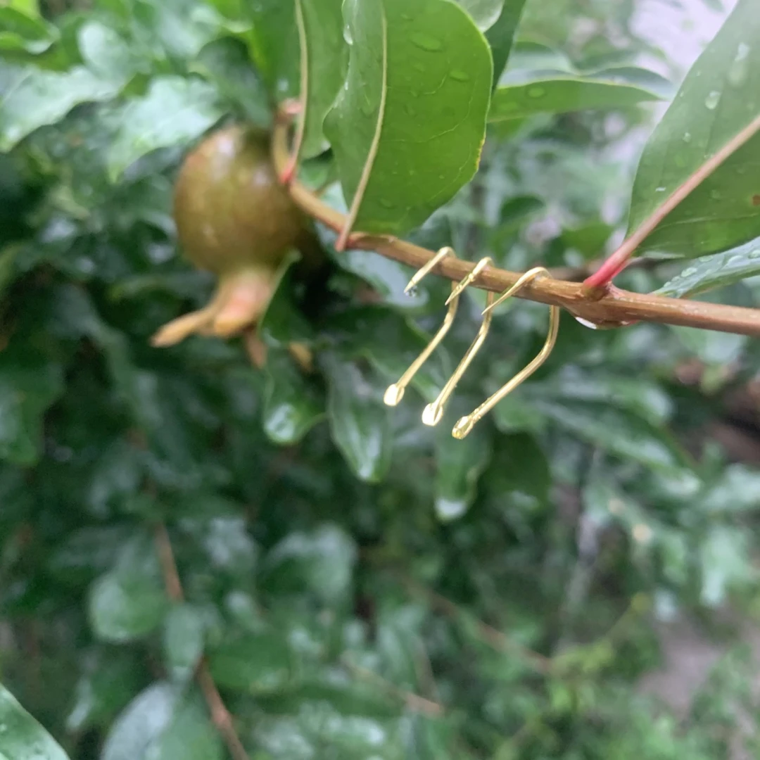 胡子鲤鲢鳙大物钩50枚装