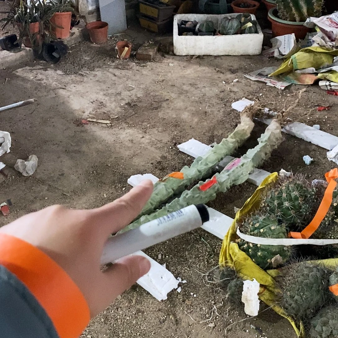 好***菜90号。 上帝阁。