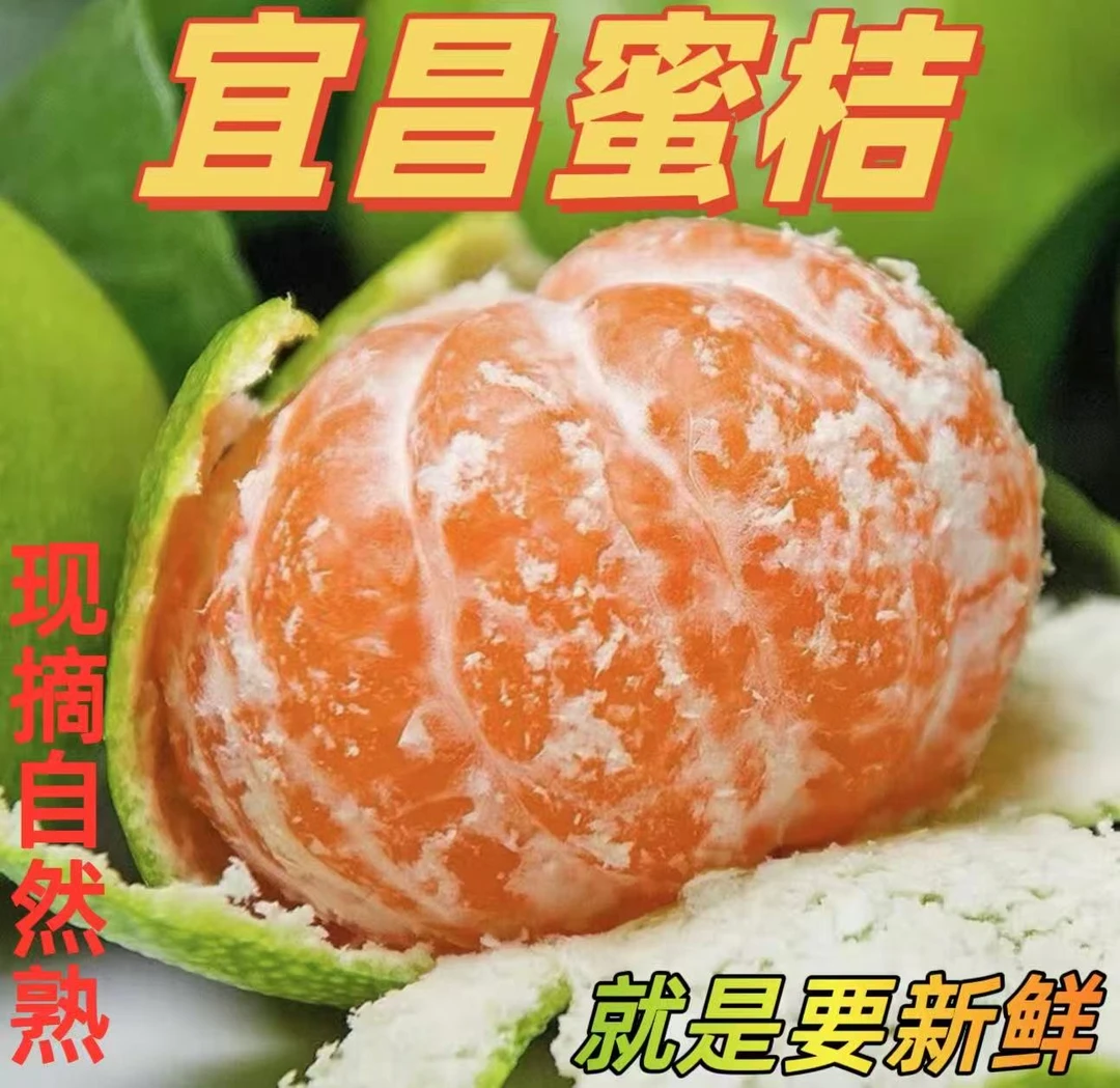 【顺丰】湖北宜昌无籽蜜桔青皮薄皮酸甜可口新鲜应季水果产地直发