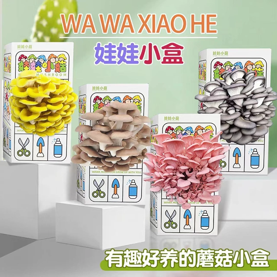 蘑菇种植菌包家庭种植观察实验孩子幼儿园学生自然课亲子益智玩具