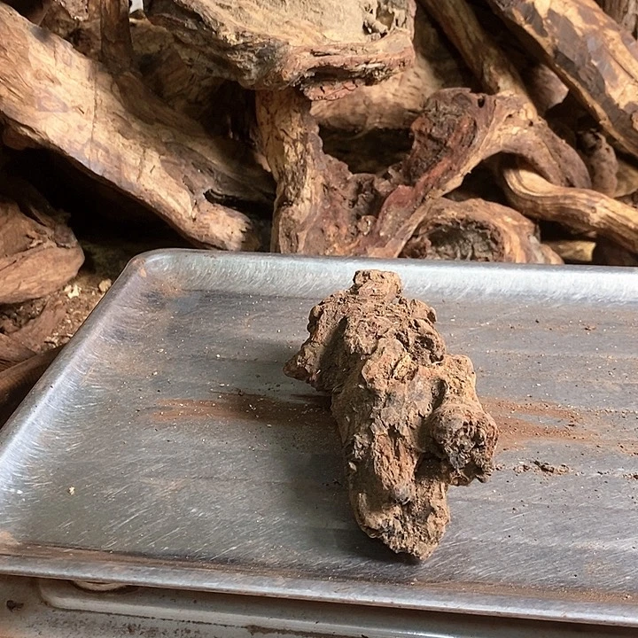 花梨木类变****林海南花梨