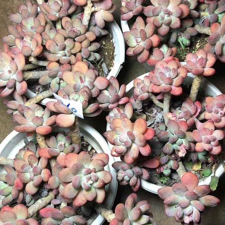 360/////////////////