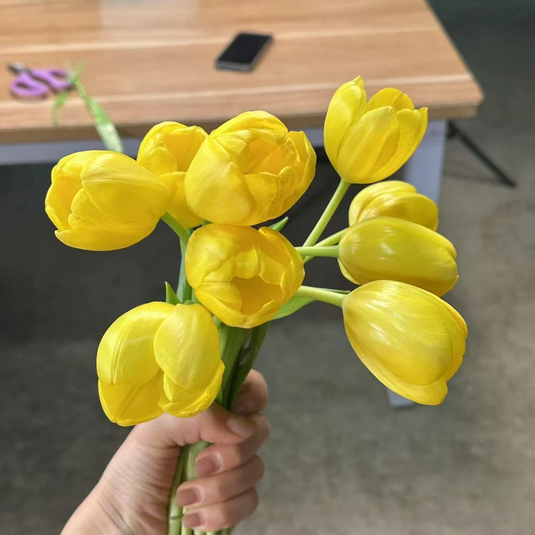 【海盛】10枝海盛骄阳郁金香（长度20cm左右）两单顺丰冷链或京东快递