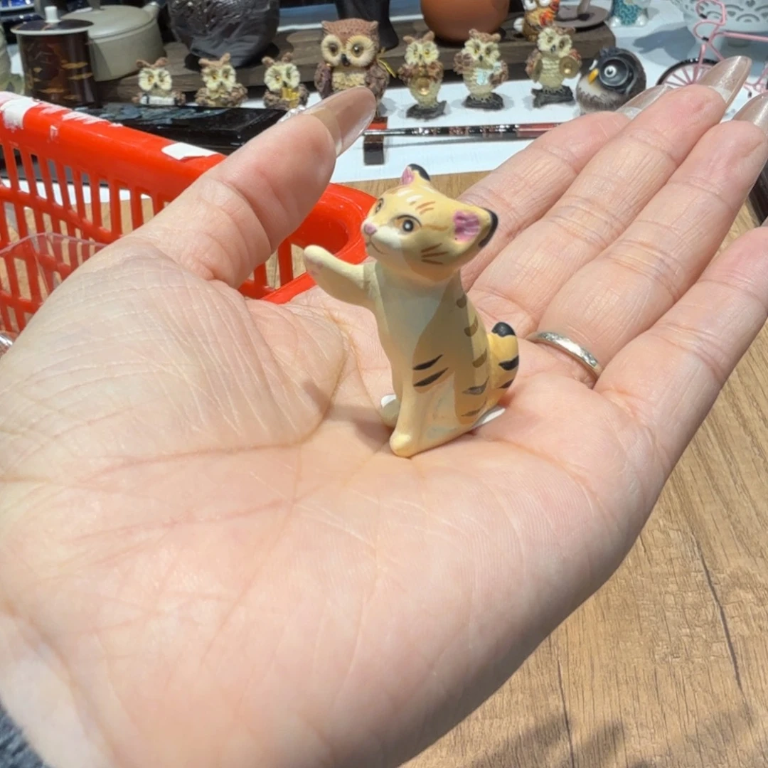 哦哦哦哦哦哦哦喔o