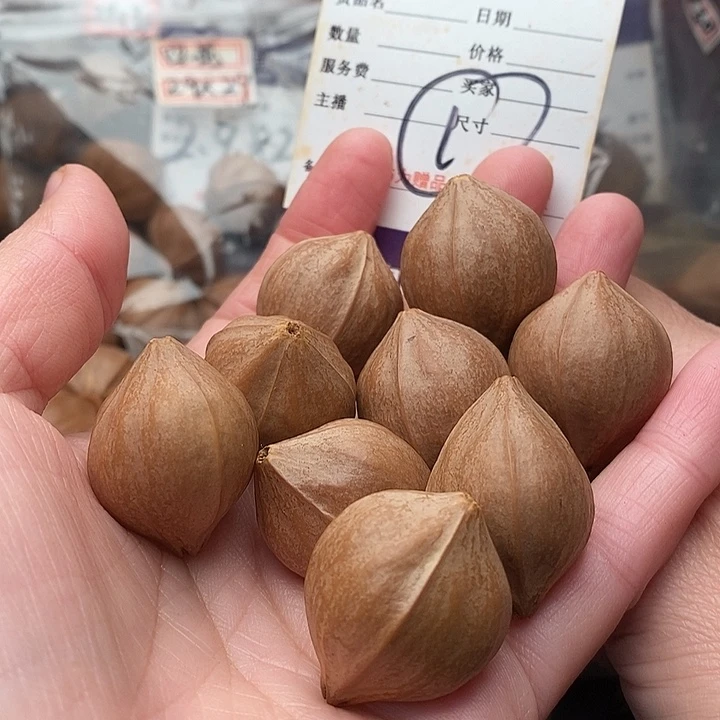 手串/手链橄榄核橄榄核梅林铁核