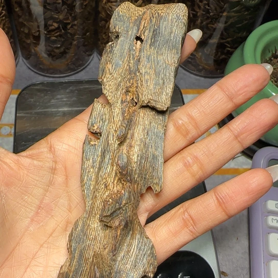 树脂制品乌身一代苗