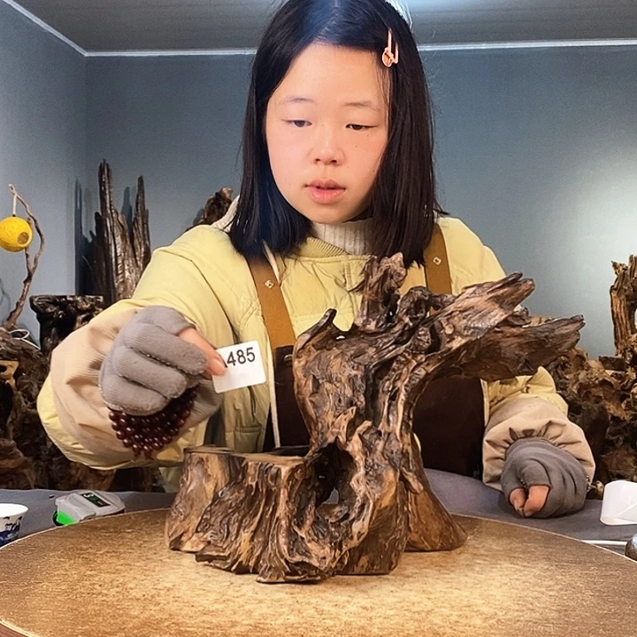 茶盏小***才485株木随行的小根艺