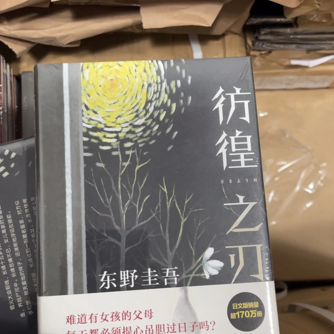 彷徨之刃十米精装