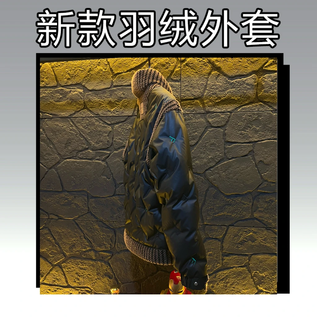 J【25847】2025高奢90白鸭绒羽绒服外套保暖立领冬季男款厚款