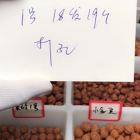 桃核吊坠T***.龙纹桃核的搭配