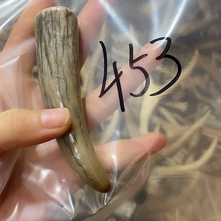 鹿鹿角鹿角鹿角鹿