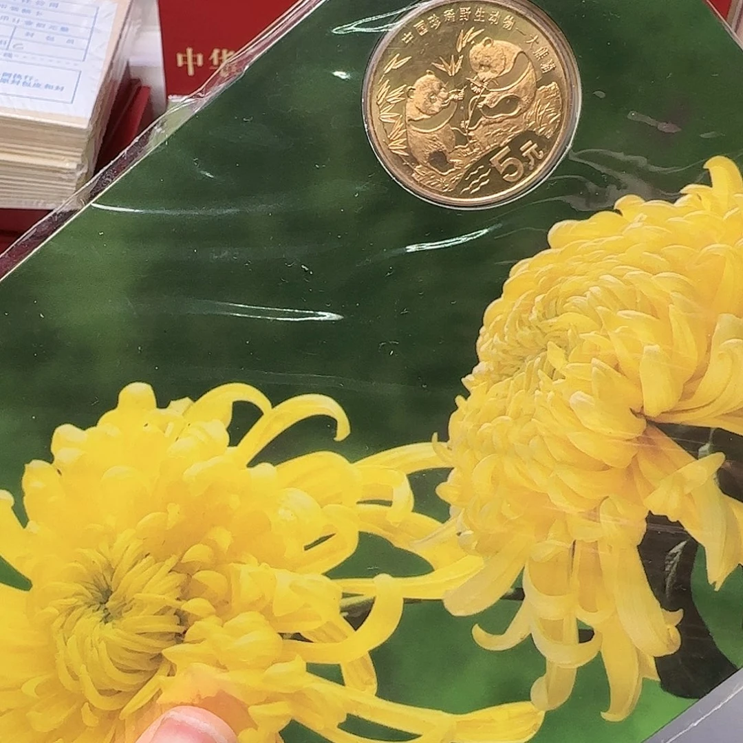 熊猫秋卡福利出福利福利