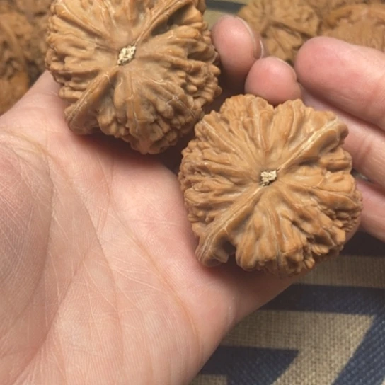 吊坠文玩核桃大粗筋