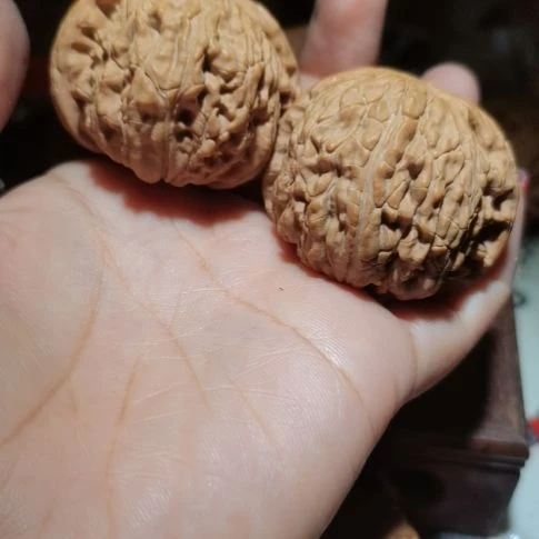 猴头核桃吊坠45白狮子