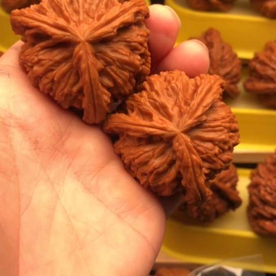 B***d核桃核桃和他的核桃核桃