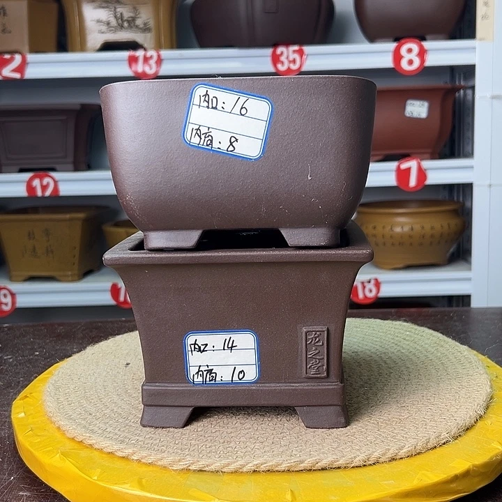 花盆紫砂蛇年大吉