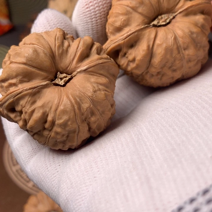 明***风南瓜5元两盒的面片