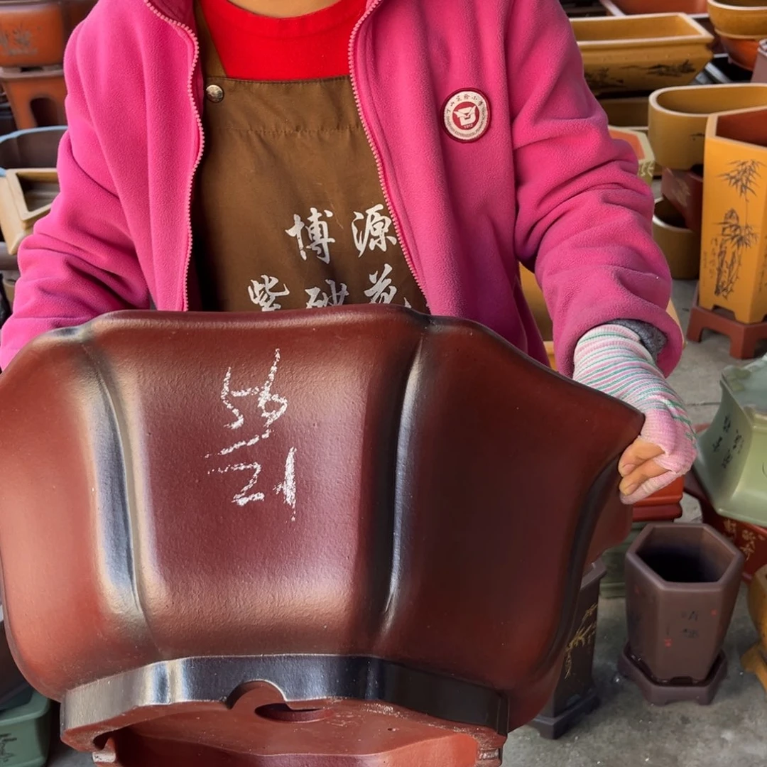 花盆紫砂盆景艺术