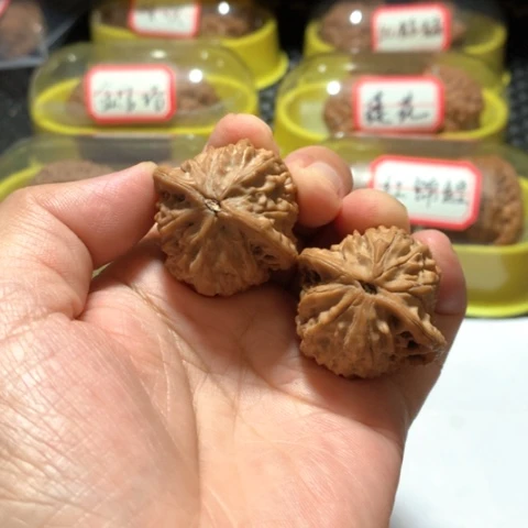 吊坠文玩核桃尸****蝇木灵珠