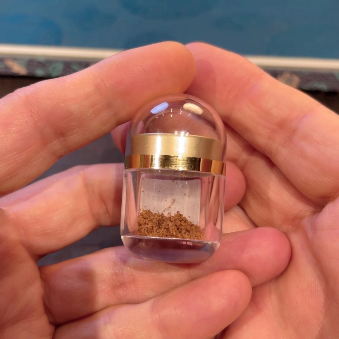 沉香沉香木制品芽庄黄棋0.1克