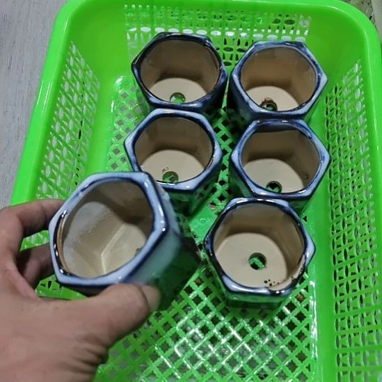 开播福利是亏线在炸的微瑕陶瓷盆12包邮
