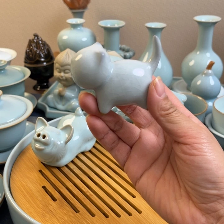 茶宠月白小猫一级全品