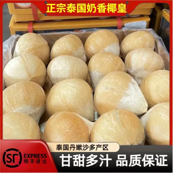 泰国核心产区牛奶椰皇泰国源头顺丰发货单果270-700g椰子新鲜