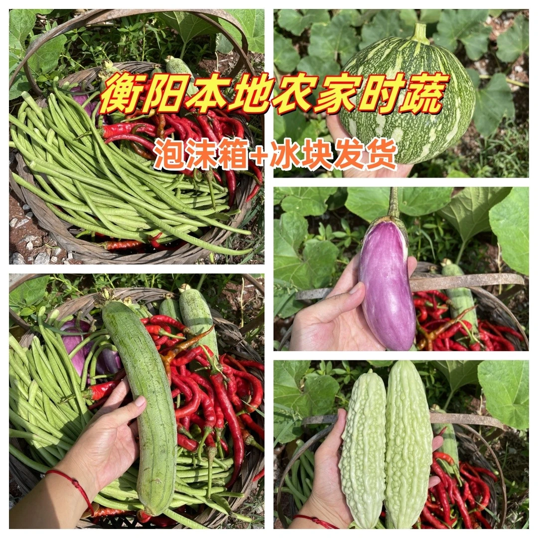 湖南衡阳本地新鲜农家自种时令蔬菜包混搭应季混合农家菜现摘现发