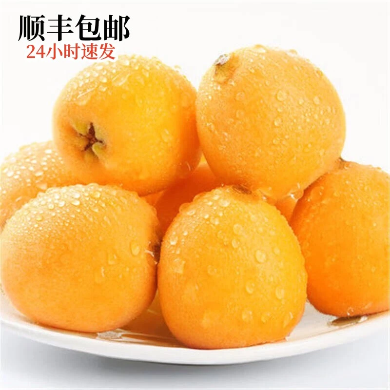 顺丰包邮云南大五星枇杷鲜果5斤现摘当季新鲜水果琵琶果1/3斤大果