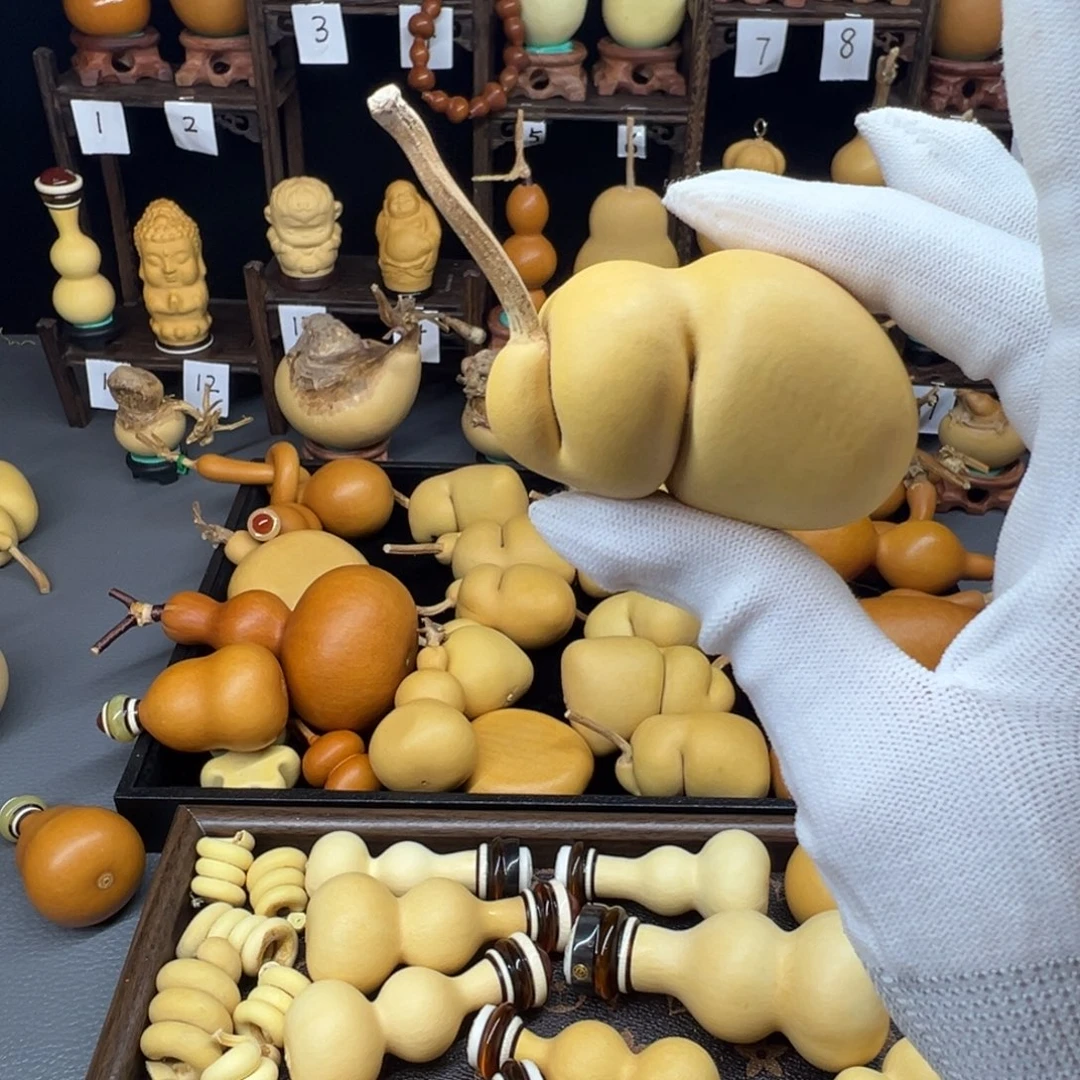 ᥫ***⁰葫芦葫芦葫芦葫芦