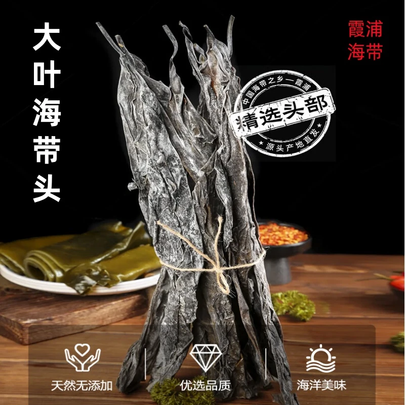 霞浦正宗手工日晒干海带厚实营养免洗干净脆爽煲汤海带凉拌500g