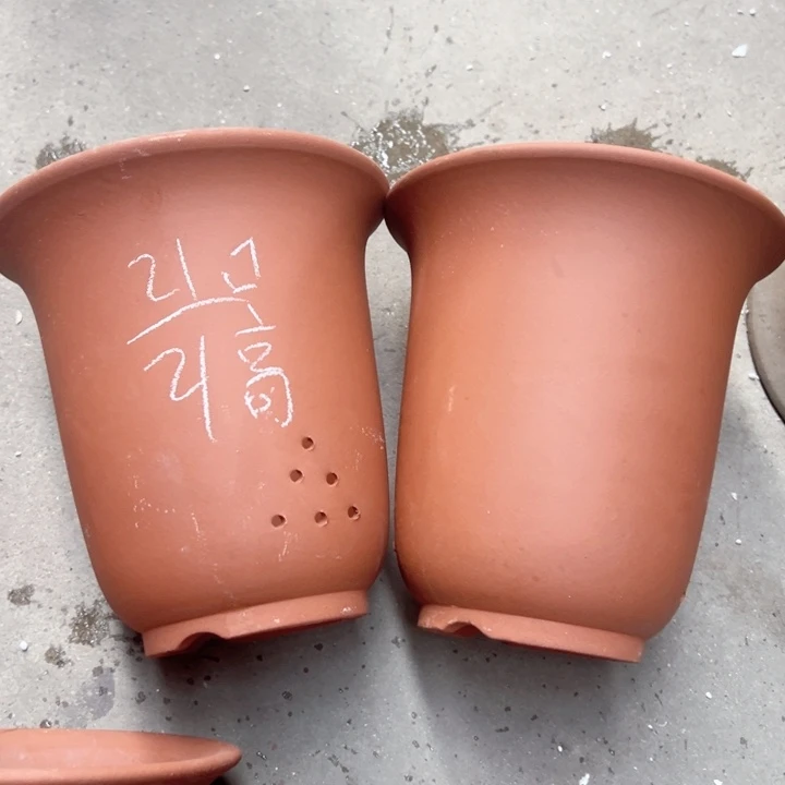 周深周深周深周深