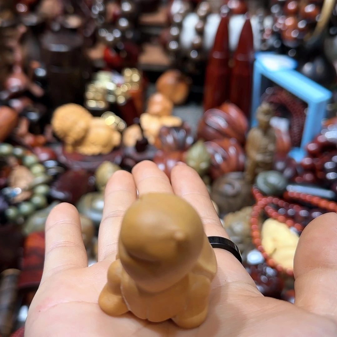 香榧木依*小叶黄杨木