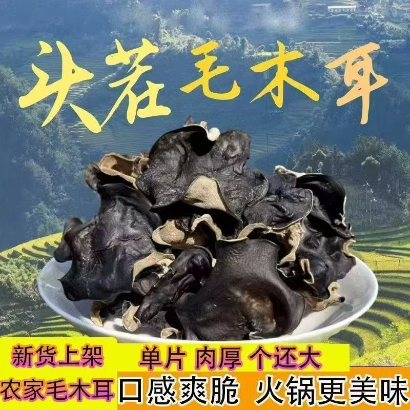 白背毛木耳大木耳自产自销商用火锅店麻辣烫小吃店胡辣汤早餐酒店