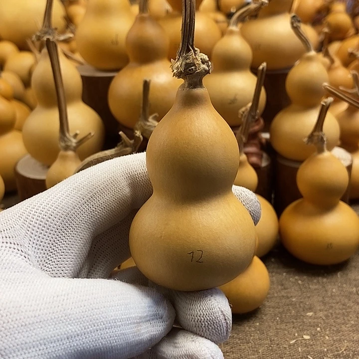 文玩葫芦 完美主义者 慎拍72