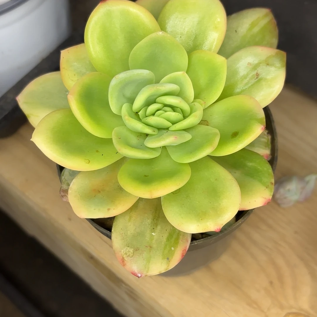 小***…啦啦啦啦啦啦啦啦啦啦啦啦