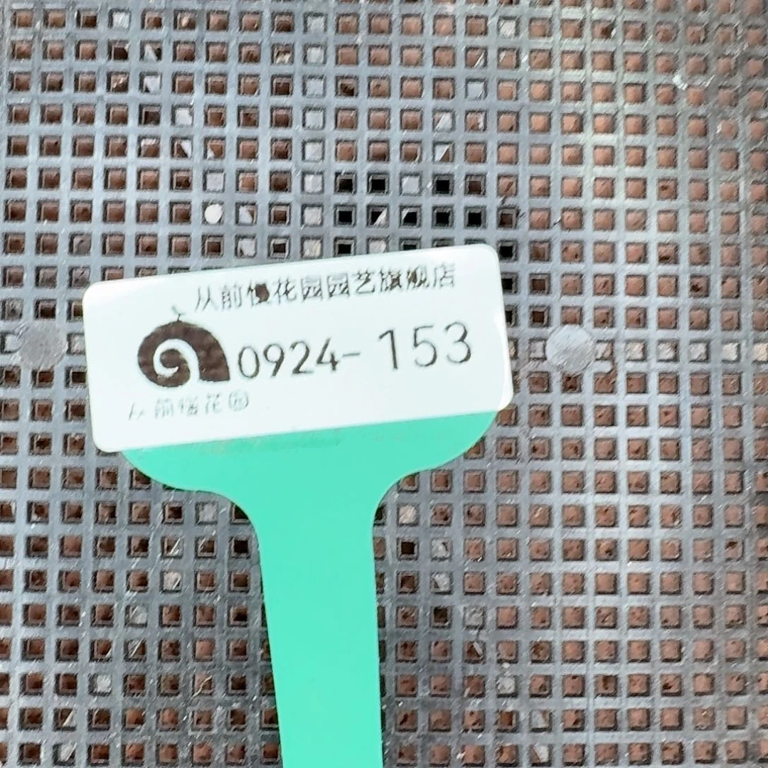 从前慢多肉精选编号0924.153